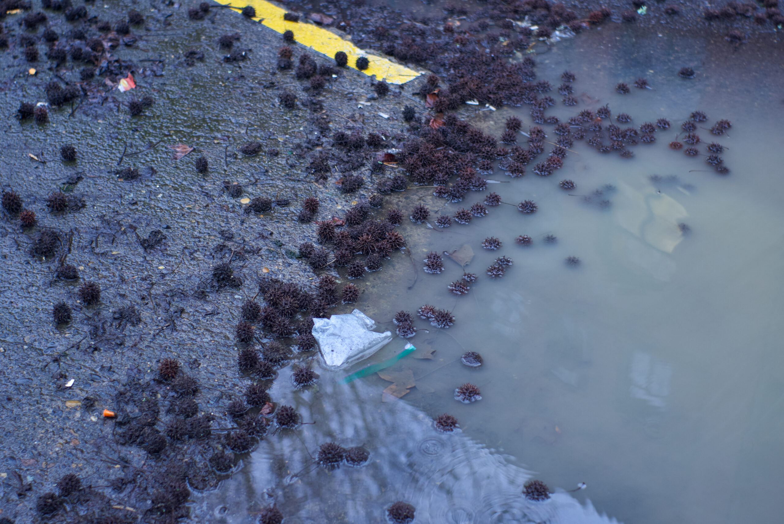 170313_portland_0104