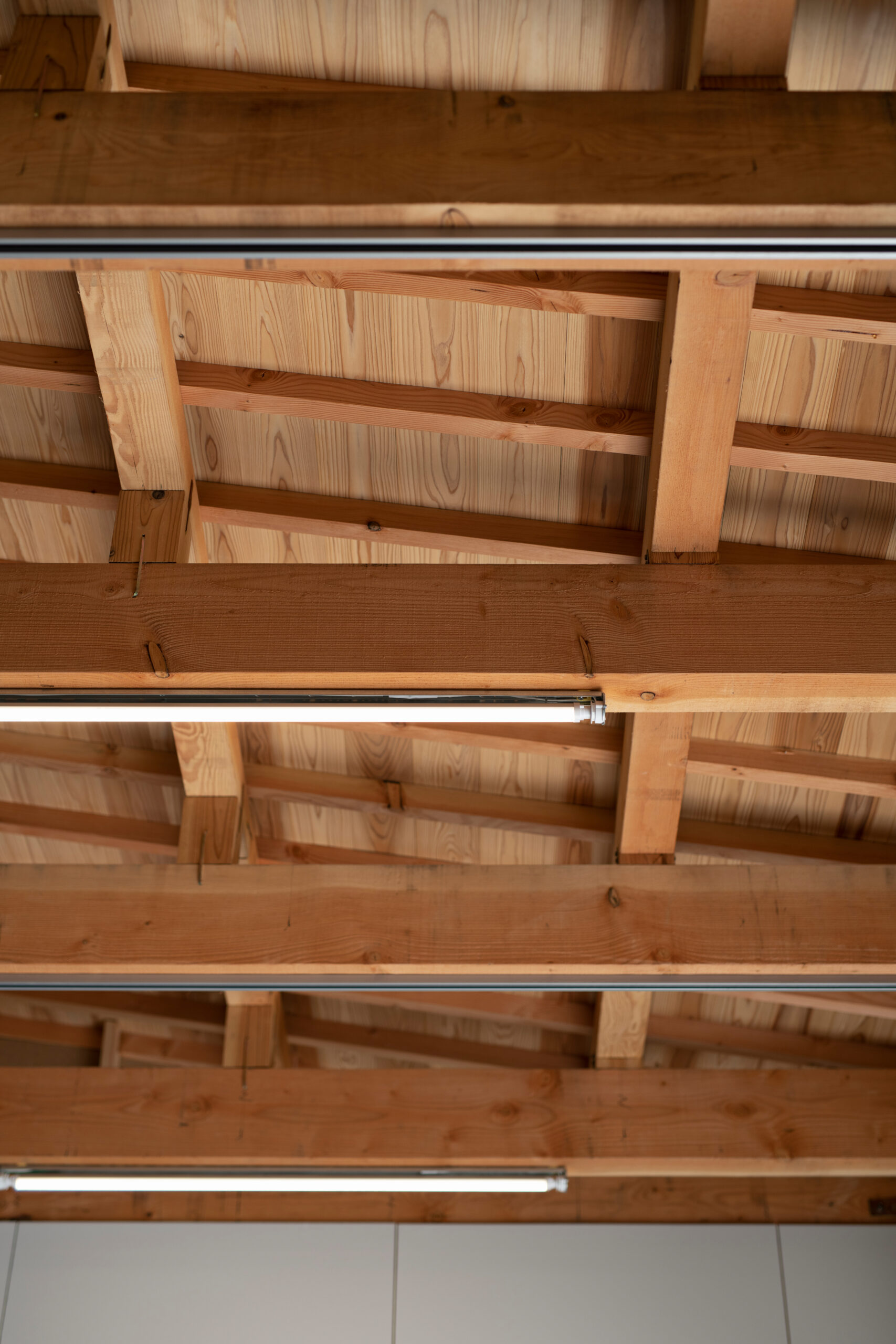 220715_aoishima_imagecut_0095