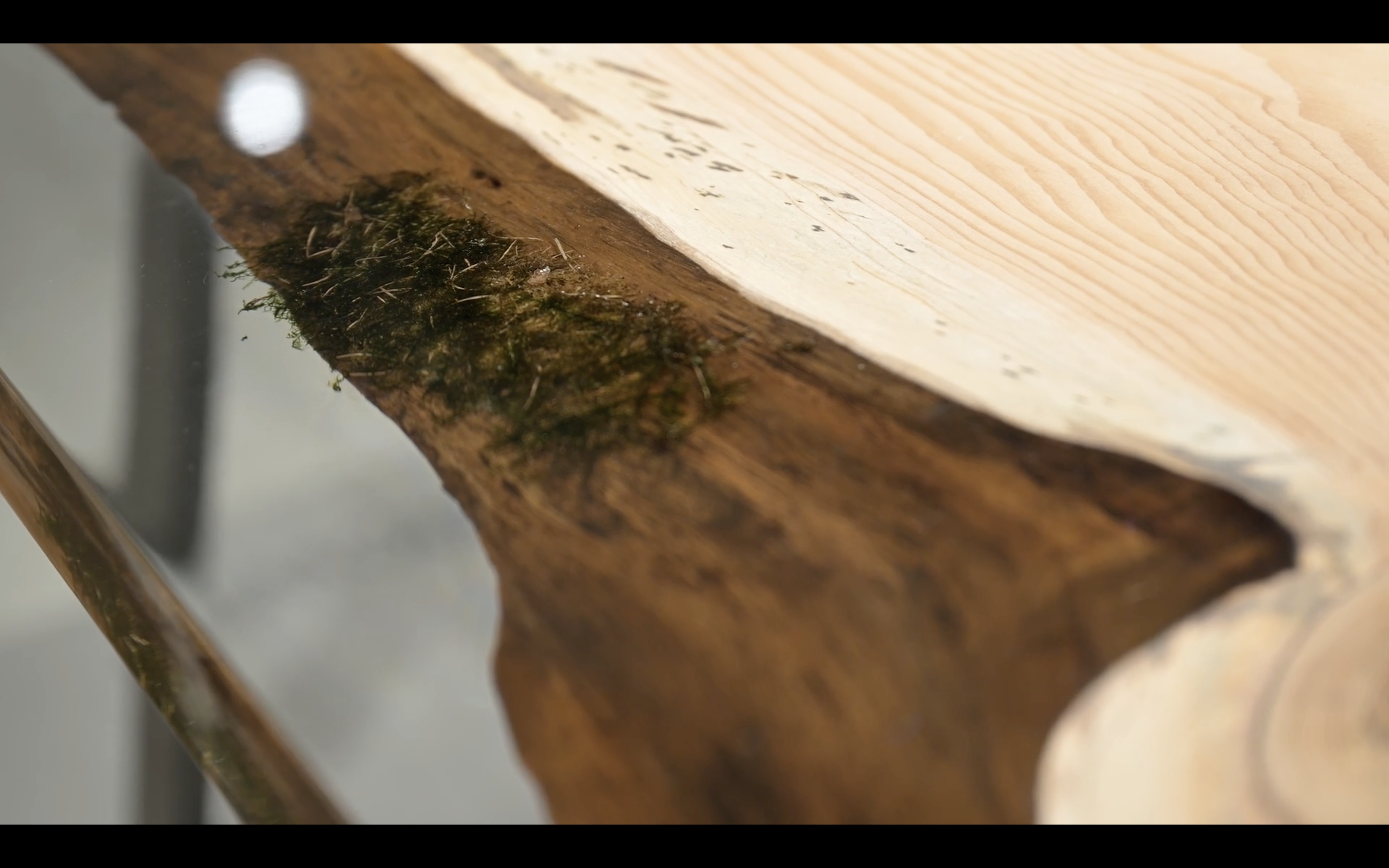 231106_CiBONE_capture_0003