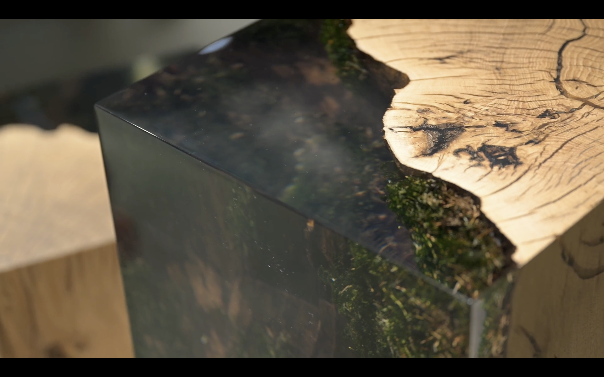 231106_CiBONE_capture_0007