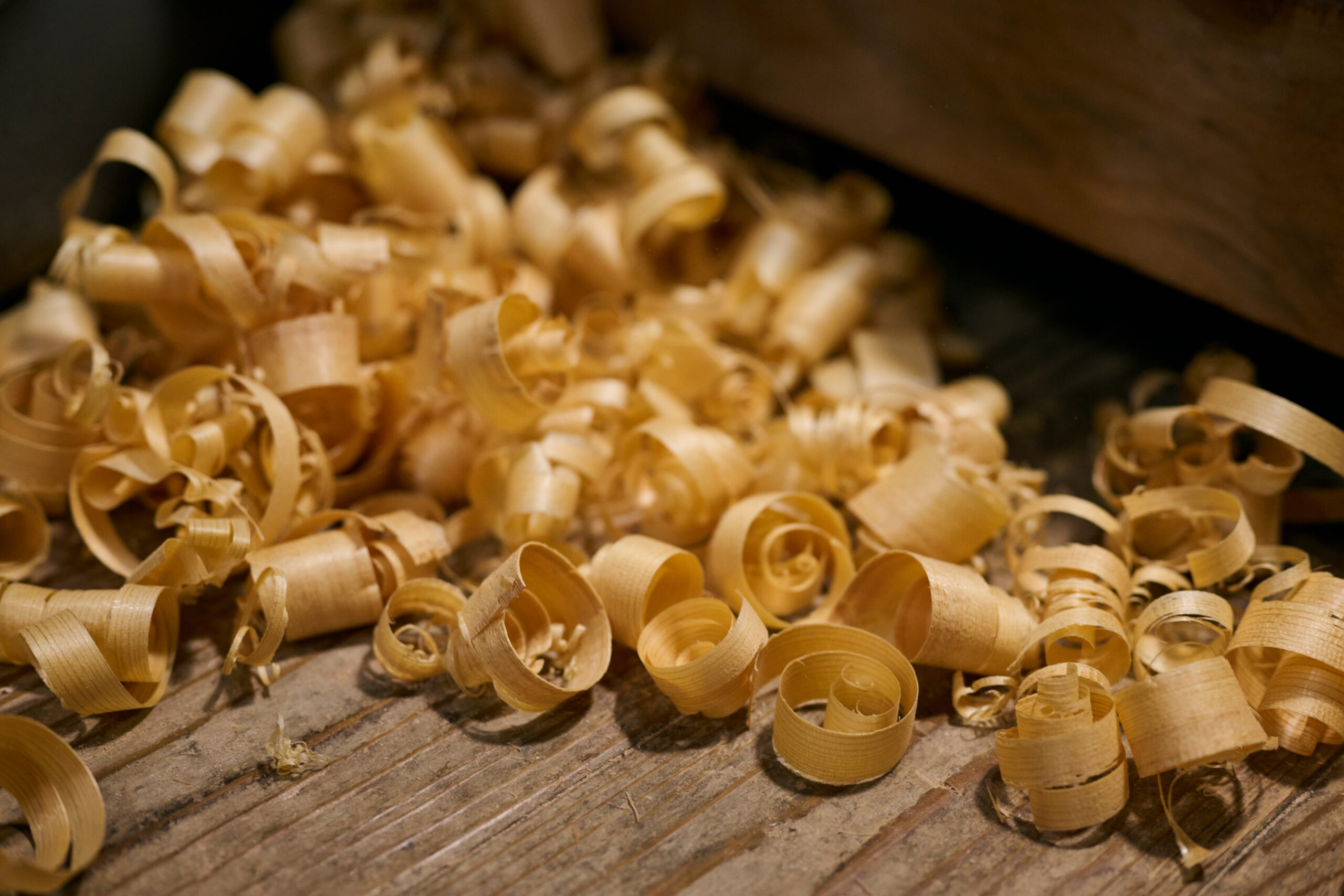 240607_JTCW_axis_1341