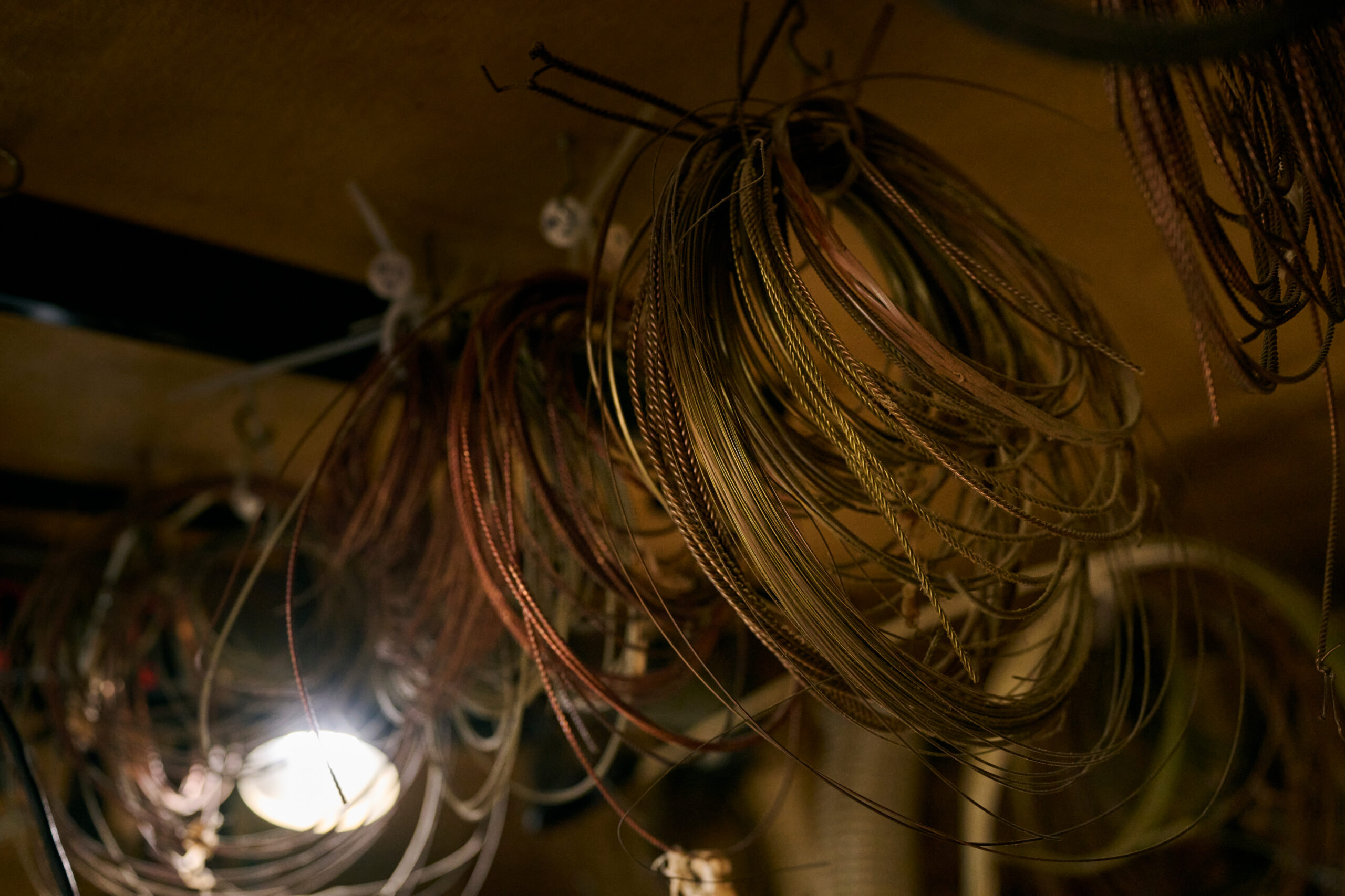 240607_JTCW_axis_1713